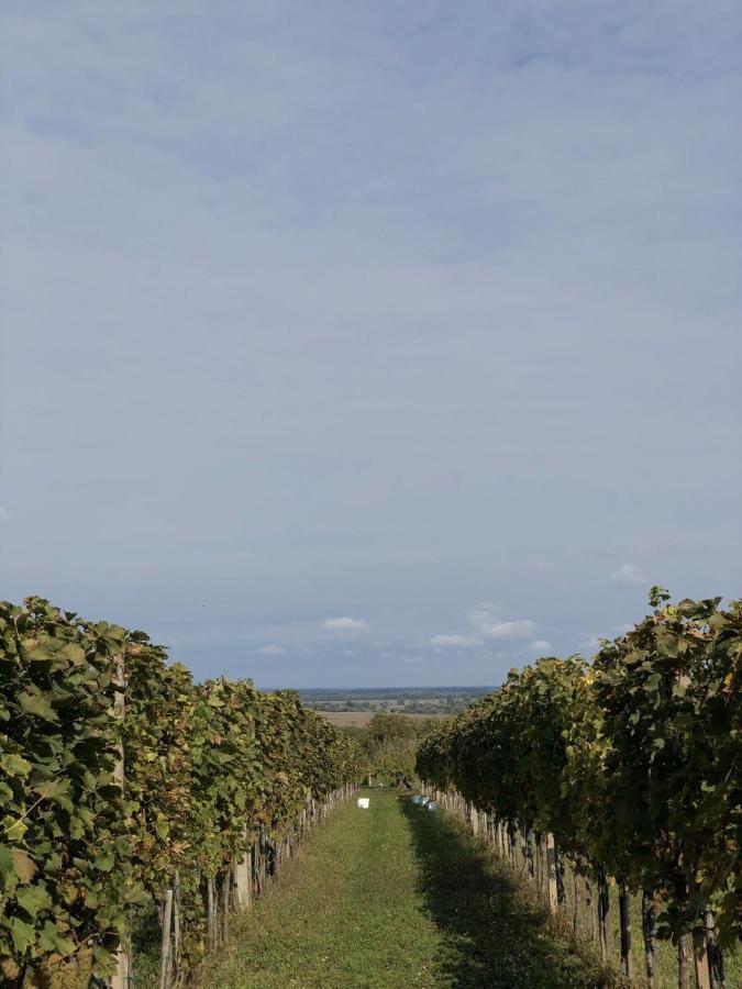 Baranja Black Hill'S Gajic ภายนอก รูปภาพ