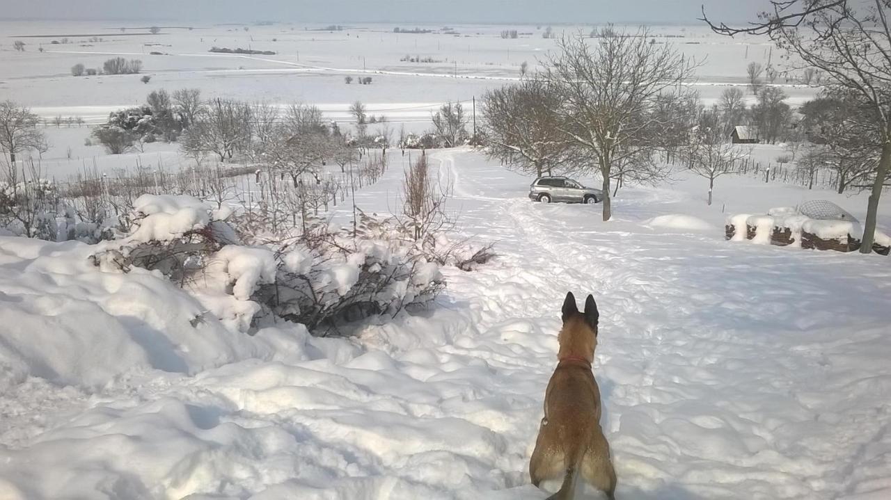 Baranja Black Hill'S Gajic ภายนอก รูปภาพ