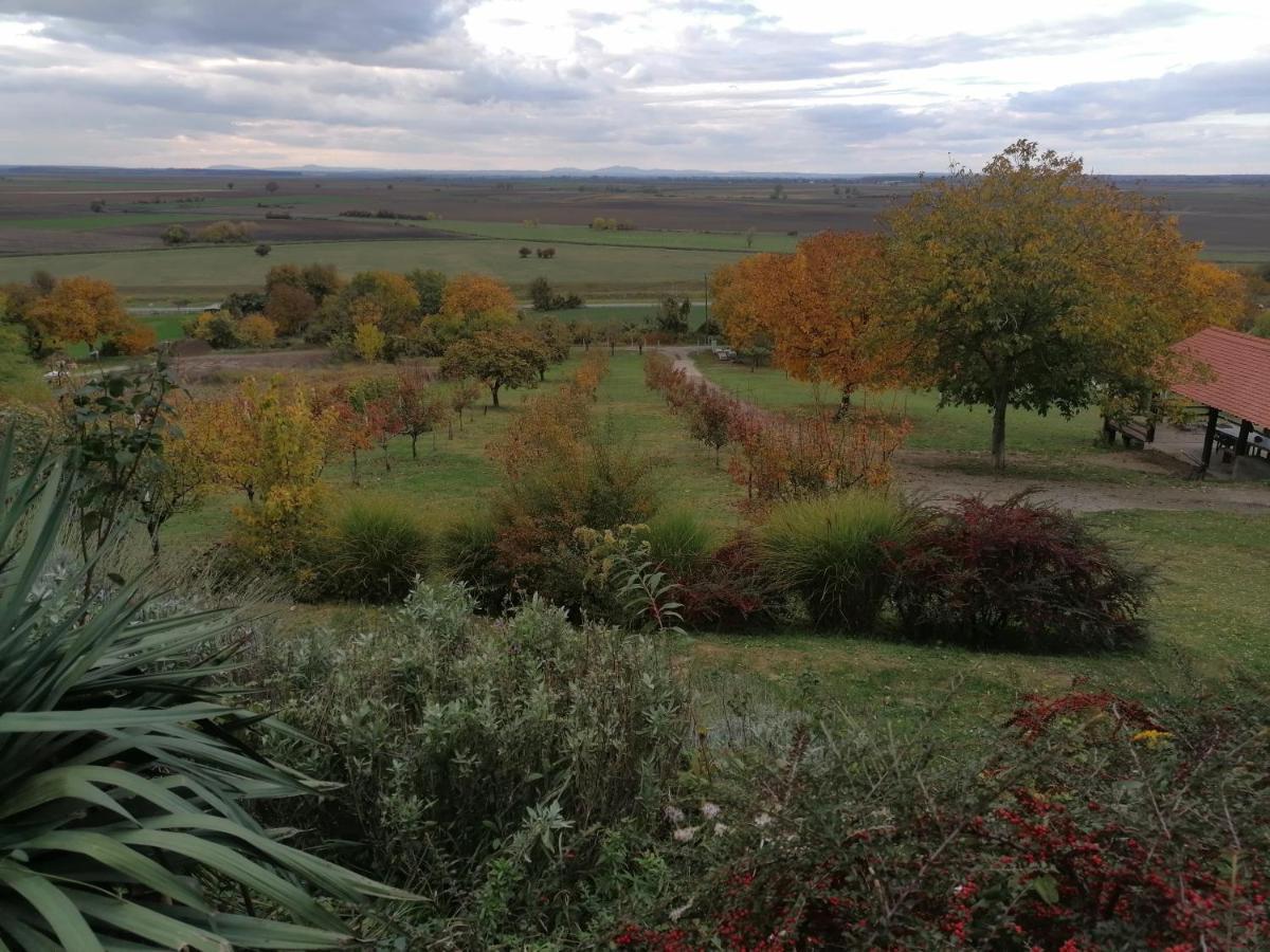 Baranja Black Hill'S Gajic ภายนอก รูปภาพ