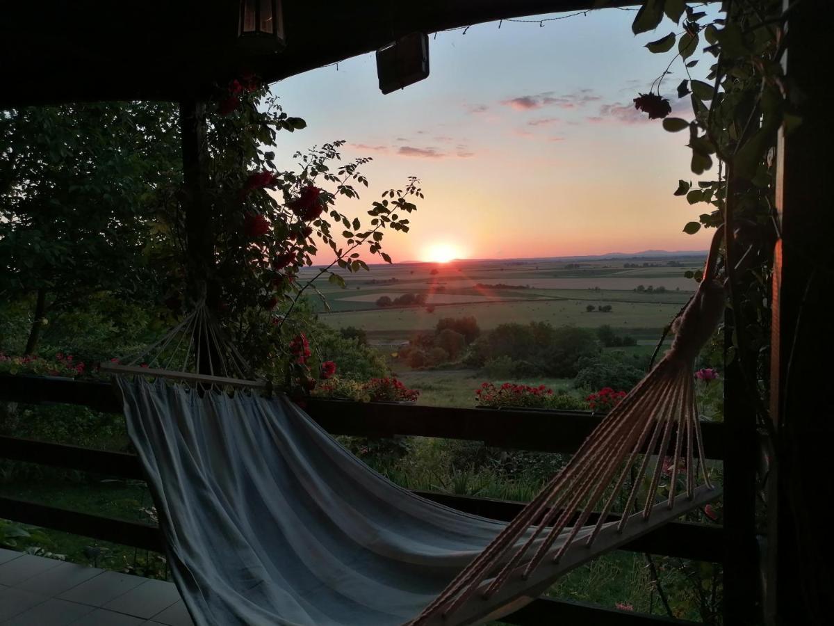 Baranja Black Hill'S Gajic ภายนอก รูปภาพ
