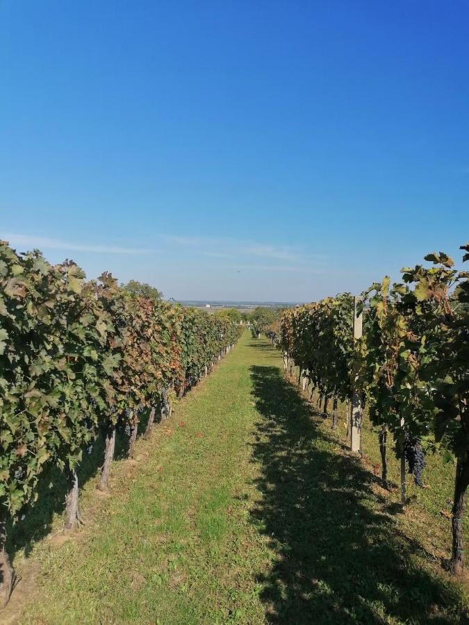 Baranja Black Hill'S Gajic ภายนอก รูปภาพ