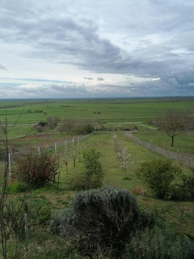 Baranja Black Hill'S Gajic ภายนอก รูปภาพ
